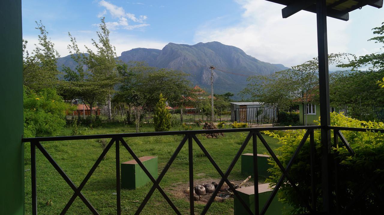 Mountain View Masinagudi Exterior foto