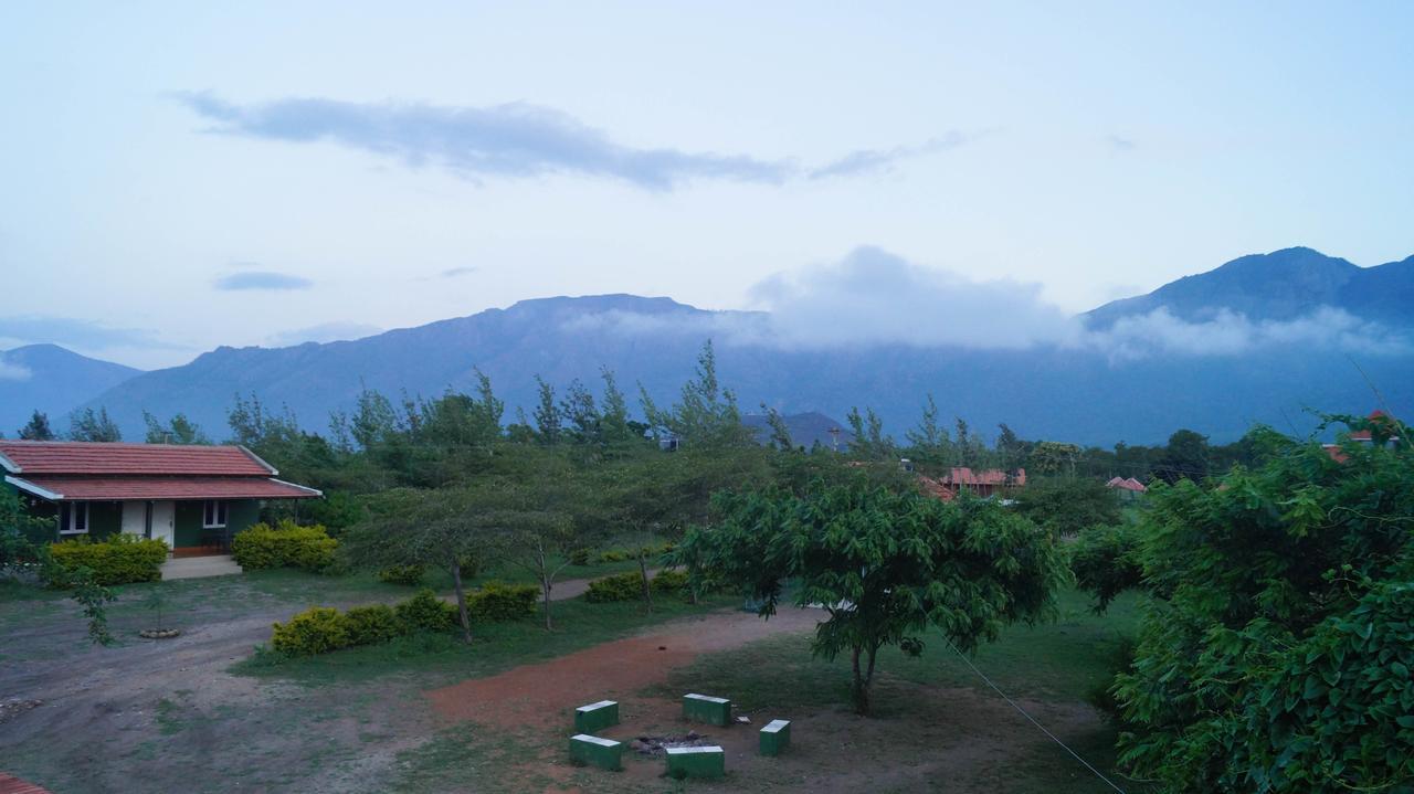 Mountain View Masinagudi Exterior foto