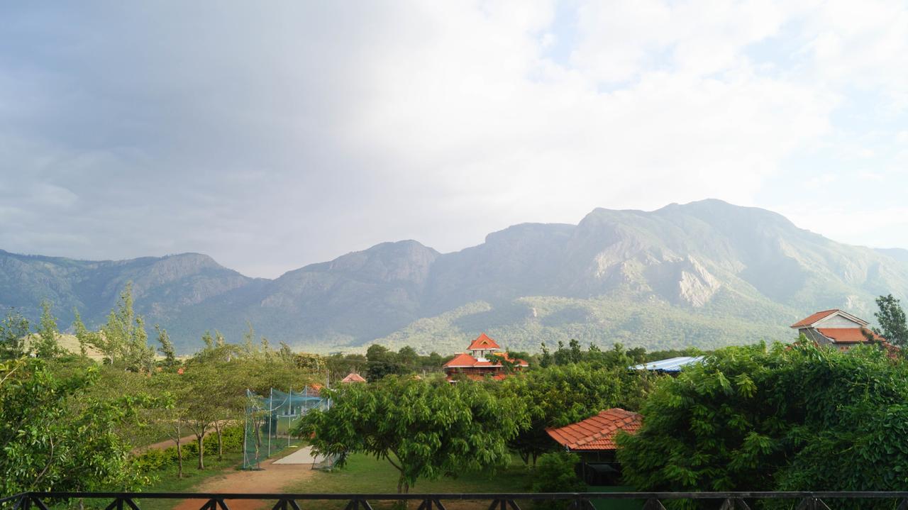 Mountain View Masinagudi Exterior foto